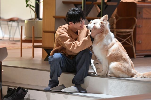 横浜流星の料理姿が尊い…「着飾る恋には理由があって」第2話（5枚目）