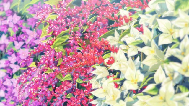 儚い横顔…映画『海辺のエトランゼ』場面カット（3枚目）