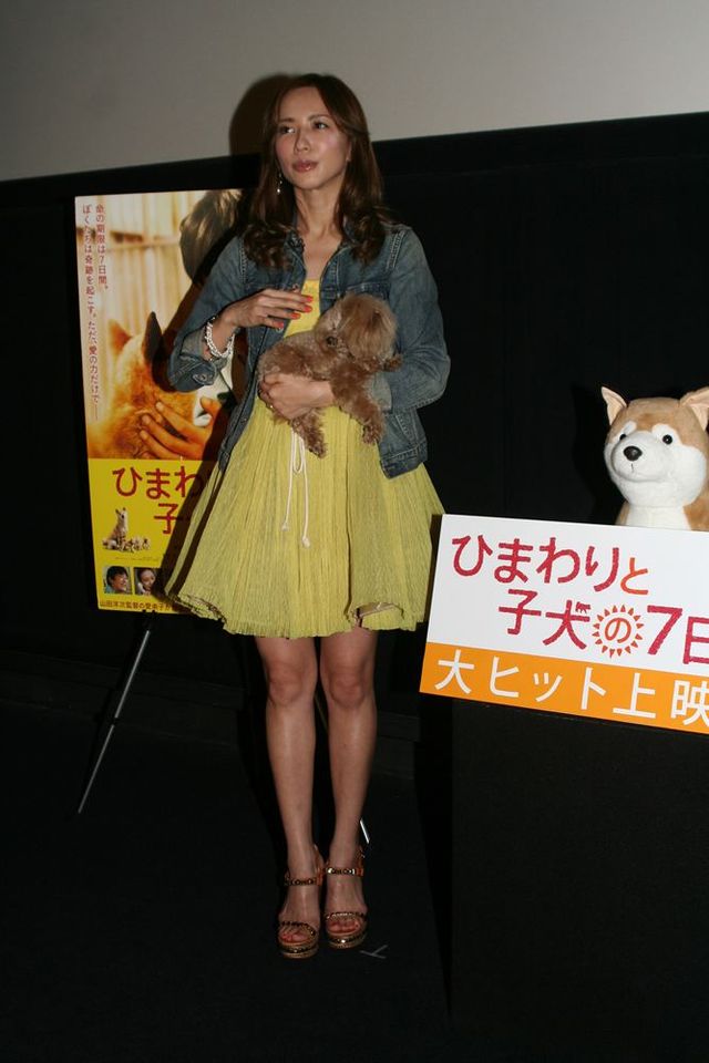 映画『ひまわりと子犬の7日間』公開記念トークイベントフォトギャラリー（2枚目）