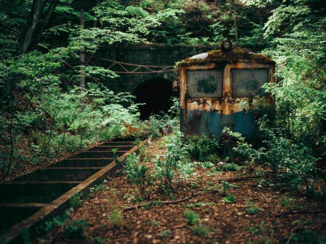 是枝監督『怪物』湊＆依里の秘密基地＜5点＞（4枚目）