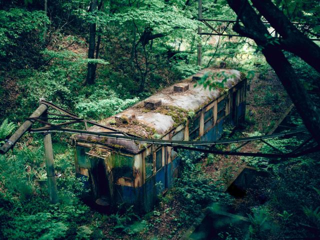 是枝監督『怪物』湊＆依里の秘密基地＜5点＞（5枚目）