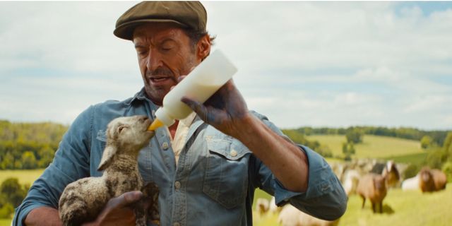 映画『ひつじ探偵団』愛くるしさ全開の場面写真（5枚目）