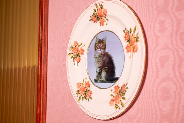 新メニュー「アンブリッジ教授のアフタヌーンティー」（5枚目）