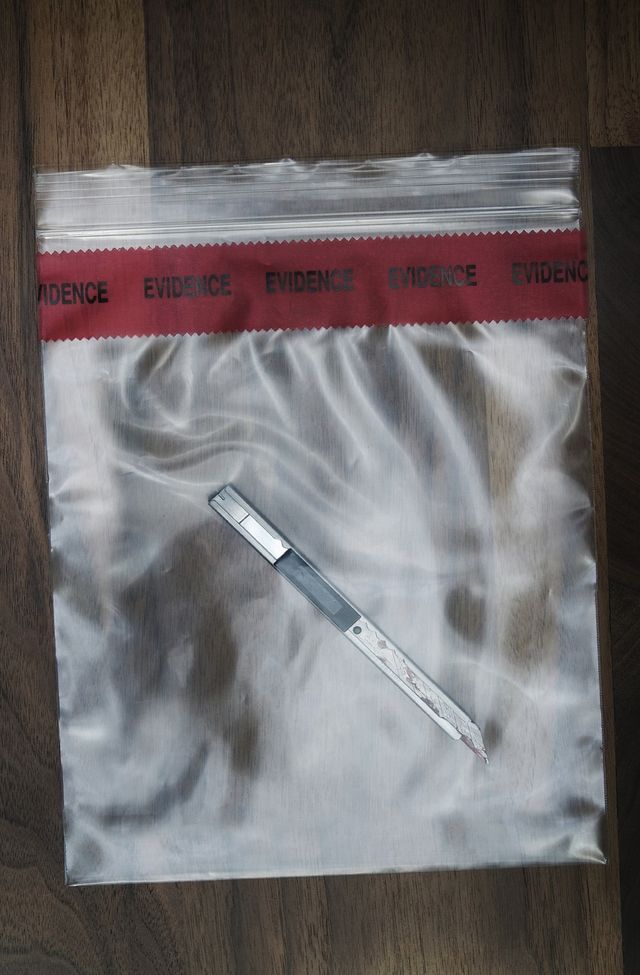 燃え残った日記、下着、カッター…映画『ゴーン・ガール』より証拠品画像（4枚目）