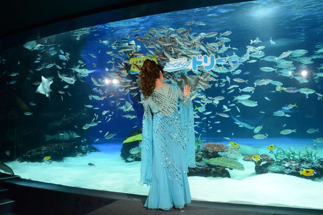 八代亜紀、ド派手ドレスで熱唱！『ファインディング・ドリー』公開記念スペシャルライブ ギャラリー（11枚目）