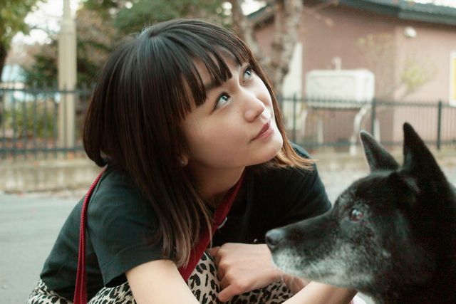 東出昌大＆奈緒が夫婦役…『草の響き』ティザービジュアル＆場面カット（3枚目）