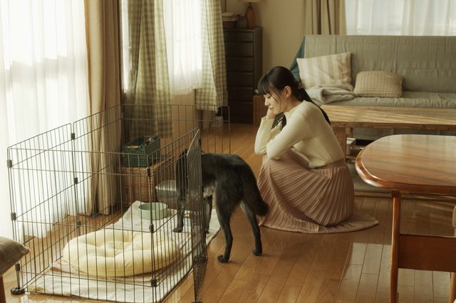 東出昌大＆奈緒が夫婦役…『草の響き』ティザービジュアル＆場面カット（13枚目）