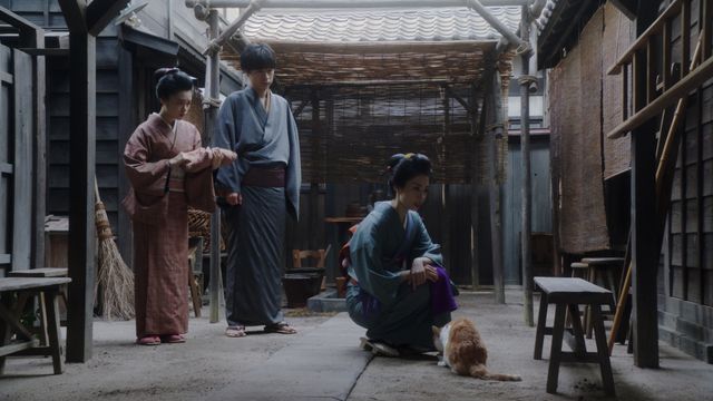 千代が千之助に感心する一方で…「おちょやん」第48回（3枚目）