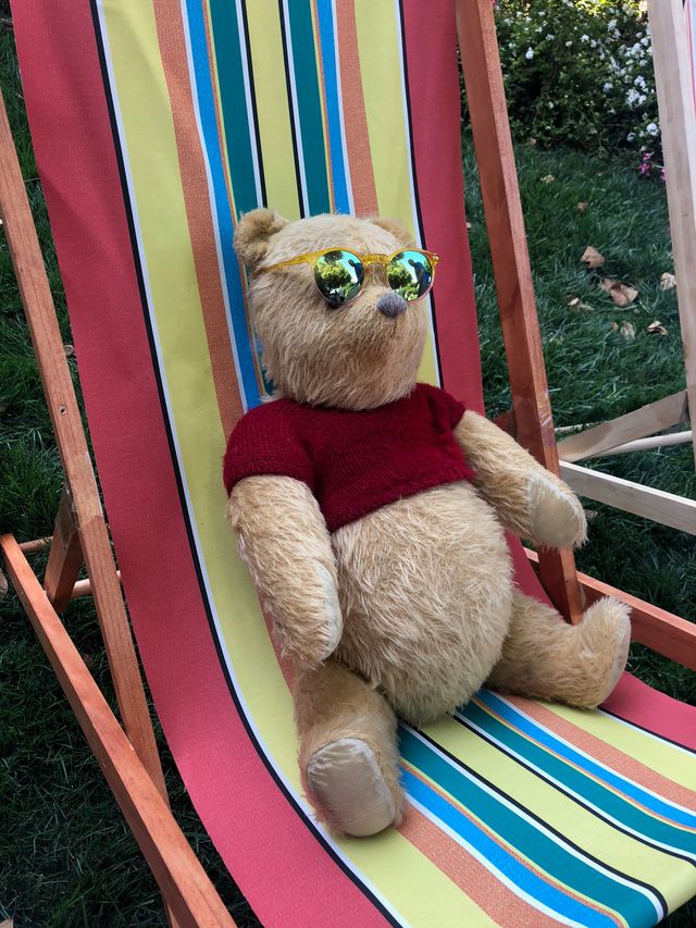 ミッキーも登場！『プーと大人になった僕』ワールドプレミア（24枚目）