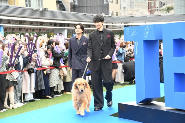 TBS4月期連ドラ3作品のキャストが集結！ブルーカーペット＆合同会見（20枚目）