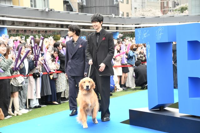 TBS4月期連ドラ3作品のキャストが集結！ブルーカーペット＆合同会見（21枚目）