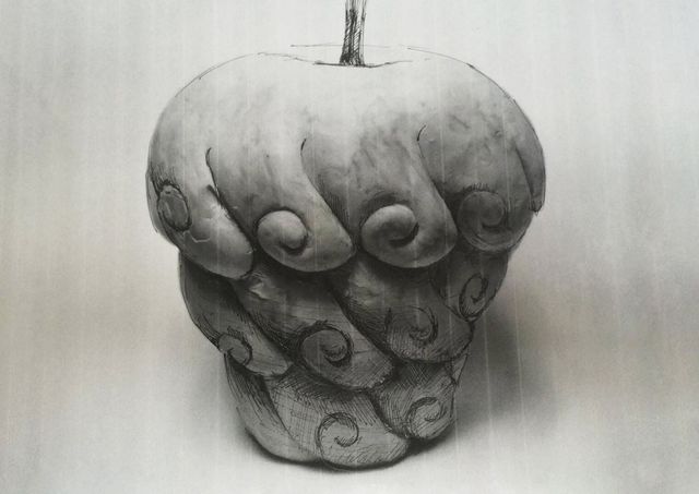 「ONE PIECE」尾田栄一郎の描き下ろし！完全新作サイドストーリー「ワノ国　特別編」！（5枚目）