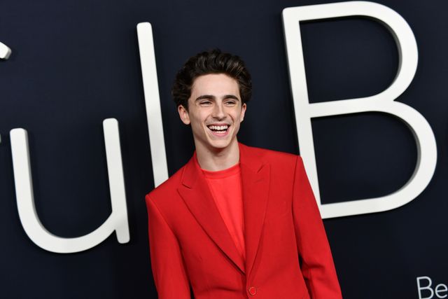 世界が注目する美青年！ティモシー・シャラメ（7枚目）