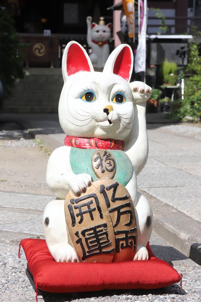今戸神社にて！『老後の資金がありません！』大ヒット祈願イベント（6枚目）