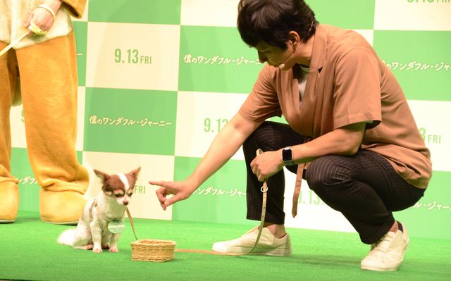 【13枚】かわいい～！アンジャッシュ児嶋＆渡部の愛犬に癒やされる！（8枚目）