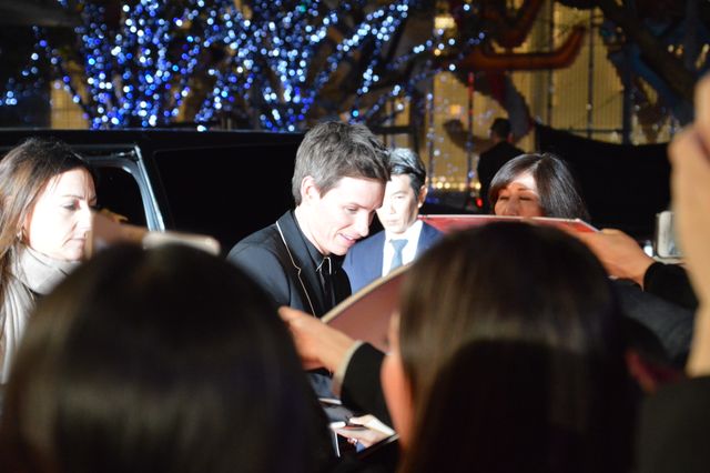 『ファンタスティック・ビーストと黒い魔法使いの誕生』キャストが来日！ジャパンプレミア（9枚目）