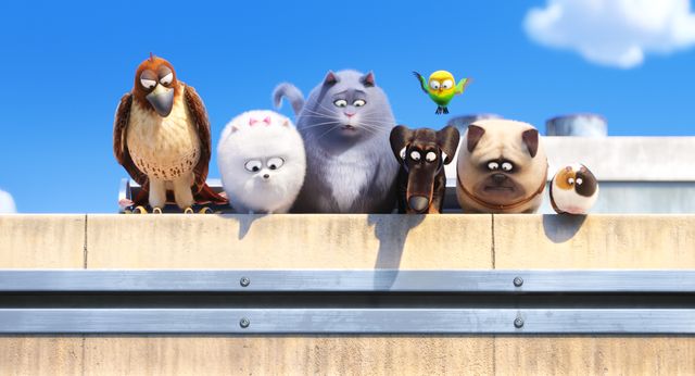 本編ノーカット放送！『ペット』のキュートな動物たち（2枚目）