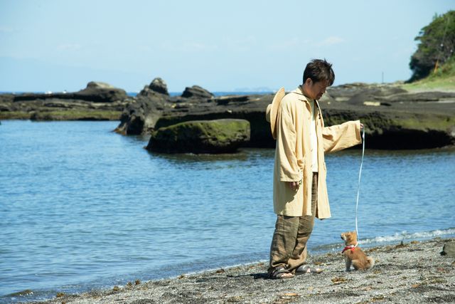 見よ！このモエモエなワンコの姿を!!「幼獣マメシバ」フォトギャラリー（11枚目）