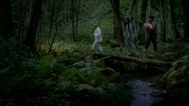 『VS狂犬』『ココディ・ココダ』ポスター＆場面写真（2枚目）