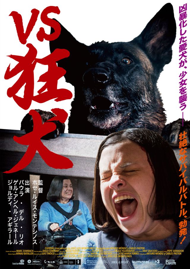 『VS狂犬』『ココディ・ココダ』ポスター＆場面写真（5枚目）