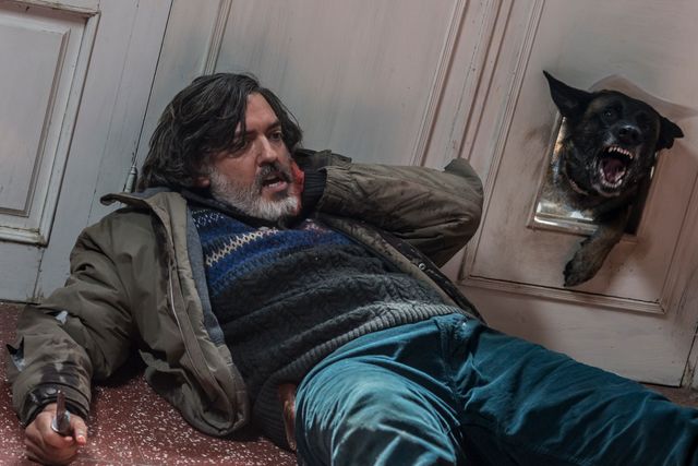 『VS狂犬』『ココディ・ココダ』ポスター＆場面写真（9枚目）