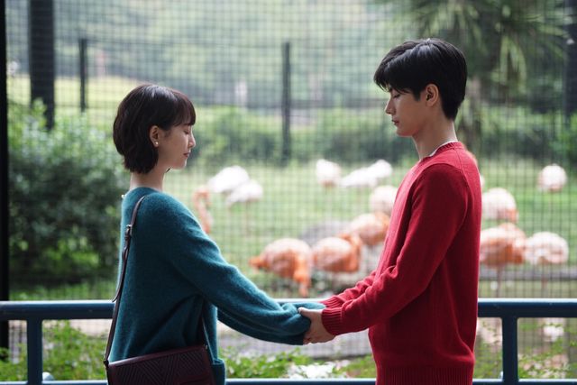 【全5枚】三浦春馬＆松井玲奈カップル風写真！テレビドラマ「オトナ高校」第3話より（3枚目）