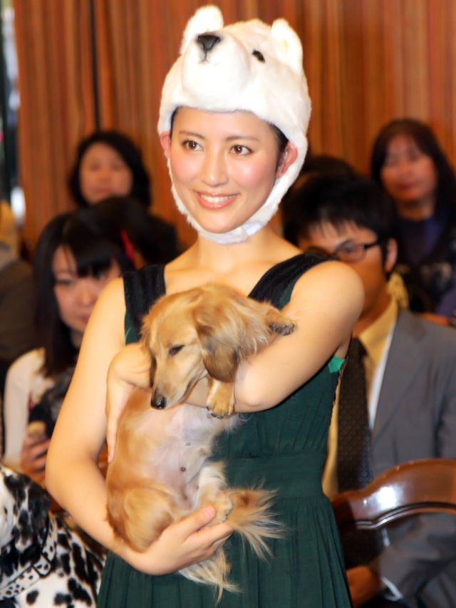 映画『アーティスト』公開記念、犬同伴・愛犬家試写会写真ギャラリー（3枚目）