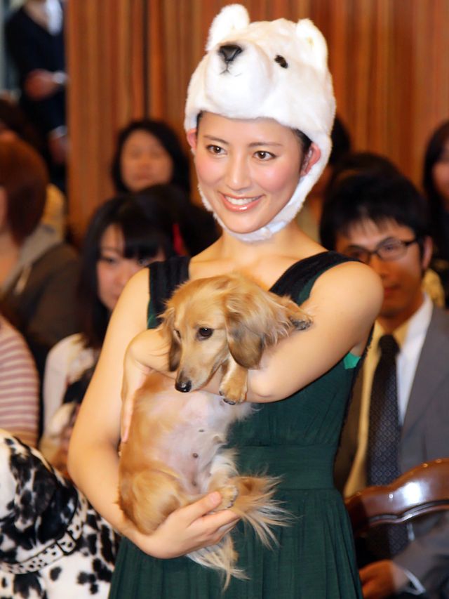 映画『アーティスト』公開記念、犬同伴・愛犬家試写会写真ギャラリー（4枚目）