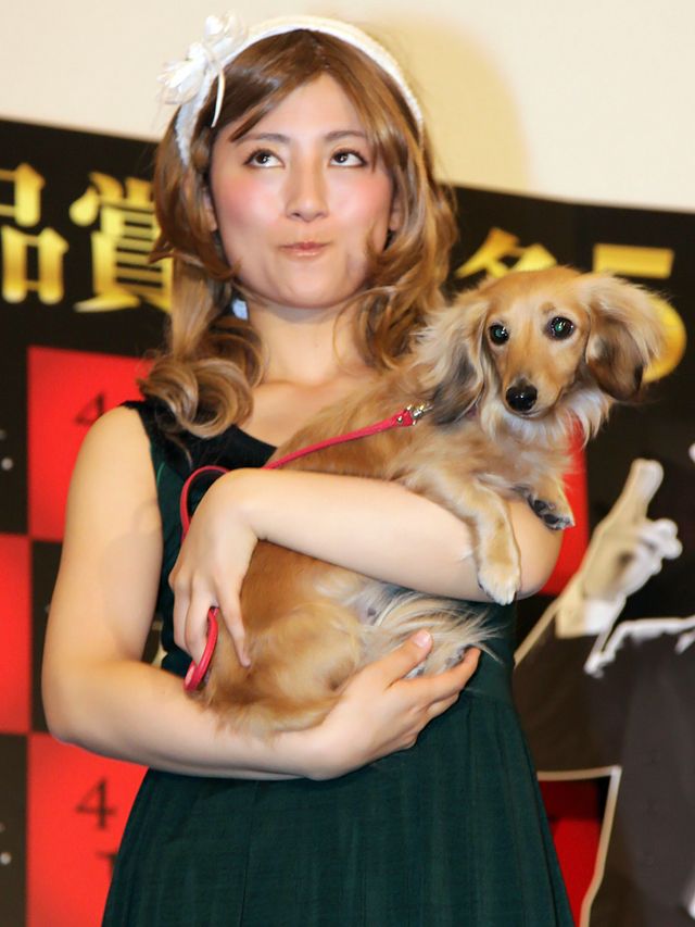 映画『アーティスト』公開記念、犬同伴・愛犬家試写会写真ギャラリー（7枚目）