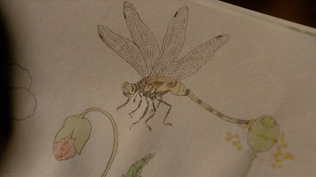 蔦重を癒やした歌麿の絵は…「べらぼう」第33回場面写真（3枚目）