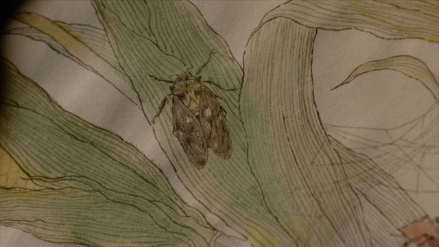 蔦重を癒やした歌麿の絵は…「べらぼう」第33回場面写真（4枚目）