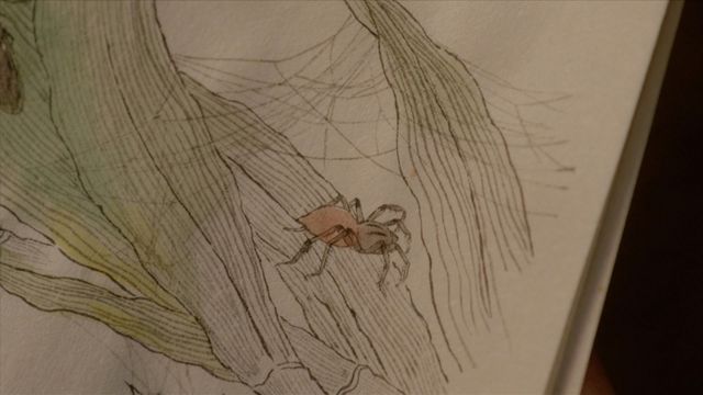 蔦重を癒やした歌麿の絵は…「べらぼう」第33回場面写真（5枚目）