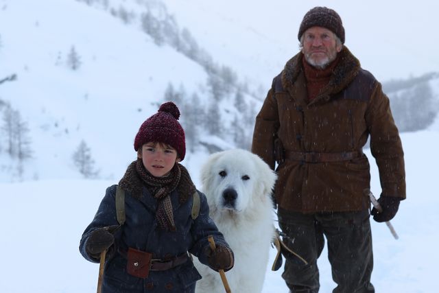 真っ白なフワフワ犬と少年の命懸けの冒険 名犬ジョリィ 原作の映画化新映像 シネマトゥデイ 映画の情報を毎日更新