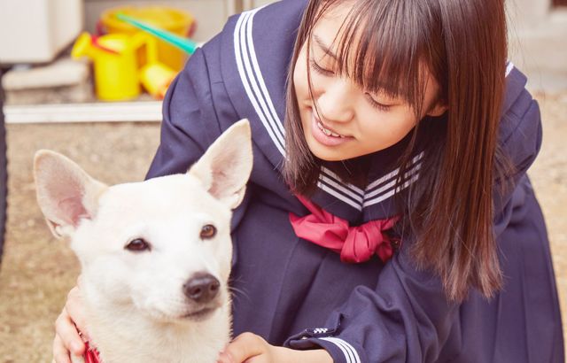 小林由依が制服姿で映画初演技！『さくら』劇中カットほか：フォトギャラリー