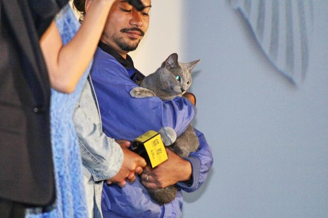沢尻エリカ＆吉沢亮ら猫ポーズ！『猫は抱くもの』完成披露試写会（7枚目）