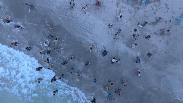 「刀伊の入寇」髭もじゃ隆家が大活躍！「光る君へ」第46回場面写真（21枚目）