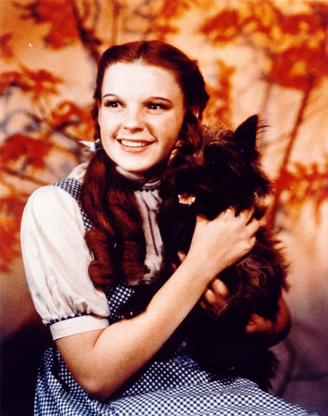 ジュディ・ガーランド画像集（5枚目）