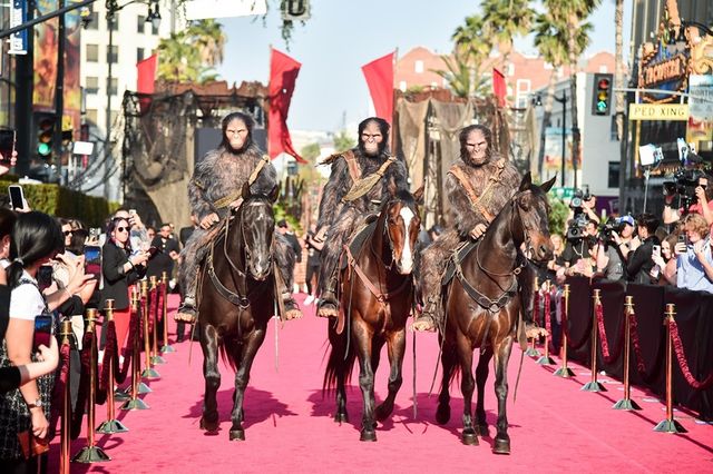 馬に乗った猿がハリウッドを支配！映画『猿の惑星／キングダム』ワールドプレミア：フォトギャラリー