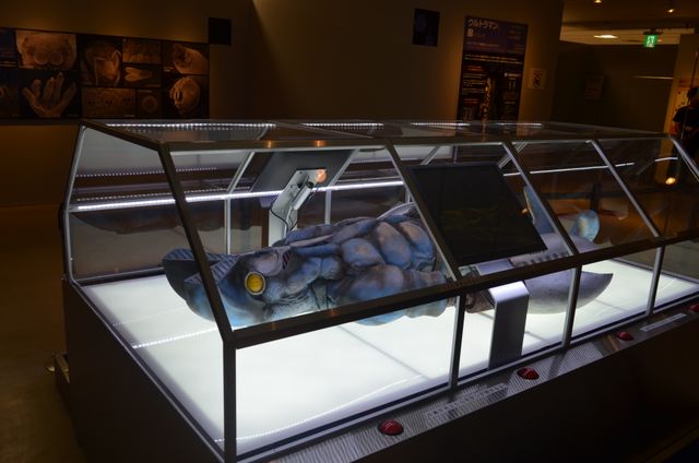 「ウルトラマンで科学する！」本日より開催！フォトギャラリー（13枚目）