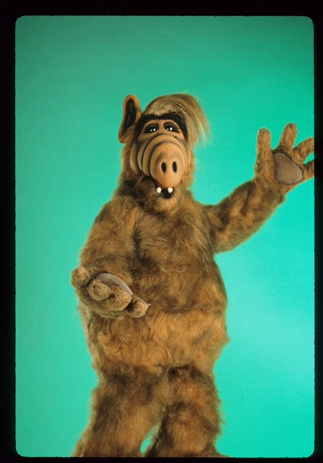 テレビドラマ「アルフ」（4枚目）