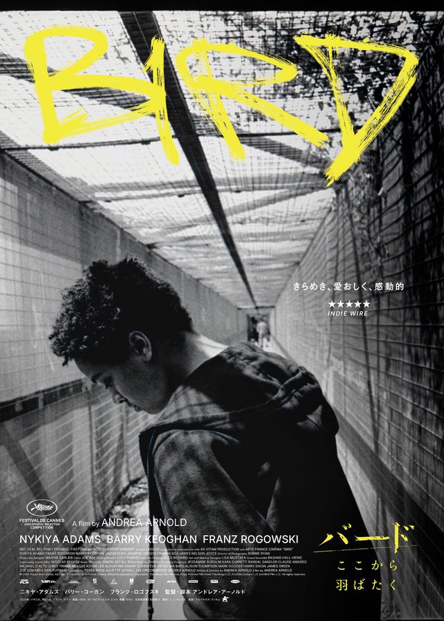 バリー・コーガン×フランツ・ロゴフスキ共演、映画『バード ここから羽ばたく』ティザービジュアル（2枚目）