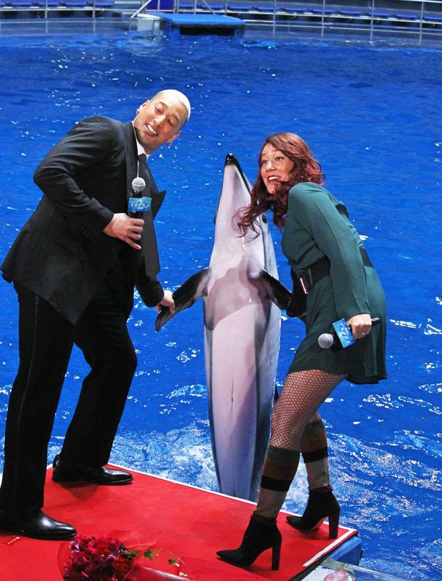 関口メンディー＆LiLiCo、イルカにメロメロ！映画『アクアマン』ジャパンプレミア（7枚目）