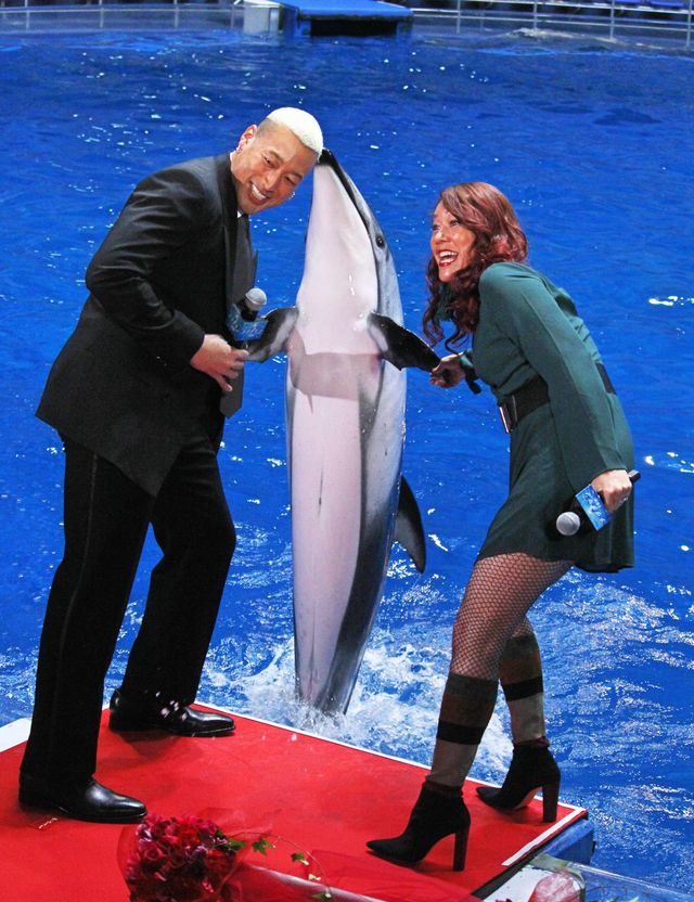 関口メンディー＆LiLiCo、イルカにメロメロ！映画『アクアマン』ジャパンプレミア（8枚目）