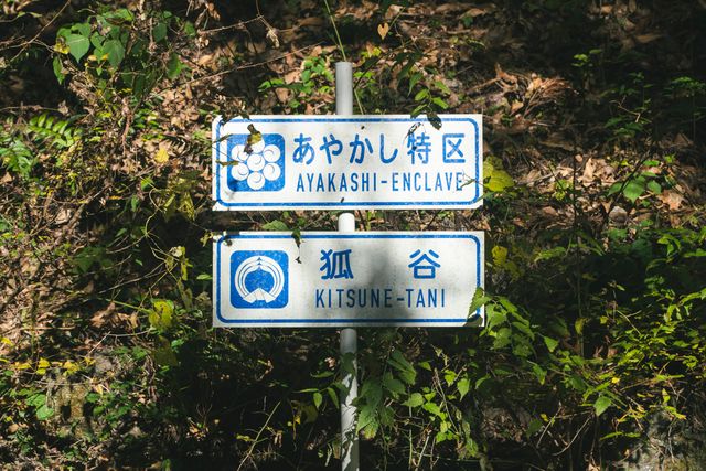 永瀬廉×吉川愛W主演『鬼の花嫁』場面写真ほか（4枚目）