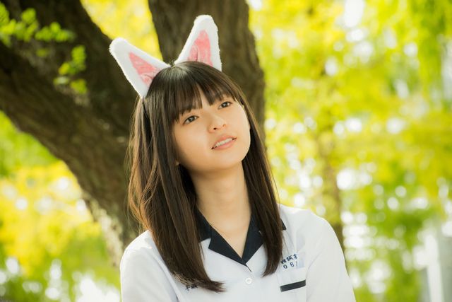 ネコ耳姿の齋藤飛鳥！『あの頃、君を追いかけた』場面写真：フォトギャラリー