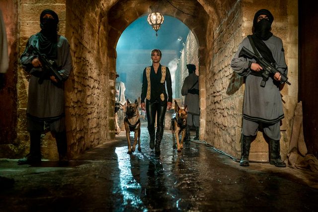 ハル・ベリー『ジョン・ウィック：パラベラム』で超本格アクション挑戦：フォトギャラリー