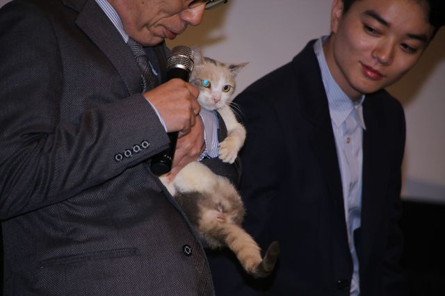 染谷将太＆北乃きい、おっとり女優猫にメロメロ！映画『先生と迷い猫』初日舞台あいさつフォトギャラリー！（8枚目）
