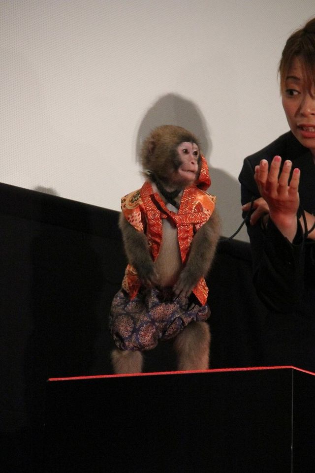 深キョン、着物姿で魅了！フォトギャラリー（19枚目）