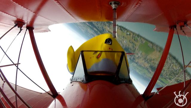 ふなっしー、まさかの海中歩行！フォトギャラリー（4枚目）