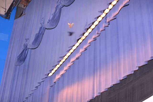 吉田羊の腕をカブトムシが…！『アリのままでいたい』初日フォトギャラリー（9枚目）